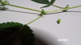 100_0210.jpg