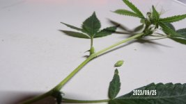 100_0211.jpg