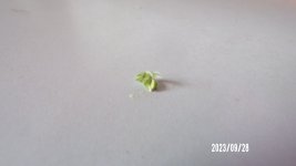 100_0225.jpg