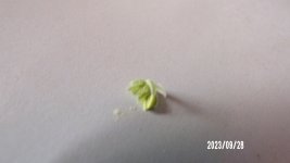100_0226.jpg