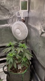 OZS1(2)[1].jpg