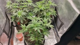 IMG_20231003_174135_HDR[1].jpg