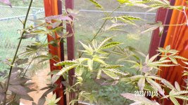 100_0238.jpg