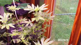 100_0241.jpg