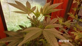 100_0244.jpg
