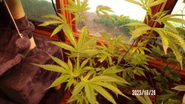 100_0243.jpg
