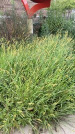 IMG_0605.jpg