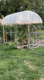 IMG_0598.jpg