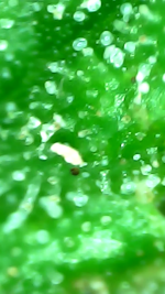 2023_11_11_23_39_15_726.png