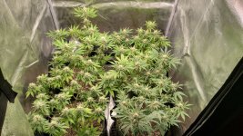IMG_20231117_170938_HDR[1].jpg