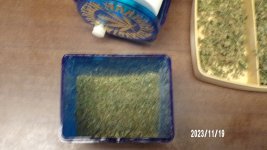 100_0260.jpg