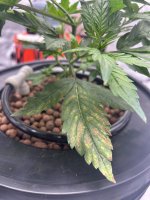 IMG_0839.jpg