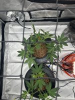 IMG_0853.jpg