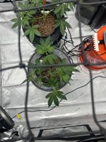IMG_0852.jpg