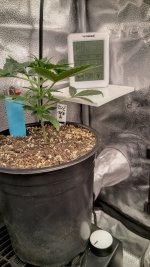 IMG_20231219_173327_HDR[1].jpg
