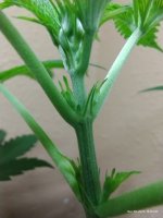 IMG_20231228_001644218.jpg
