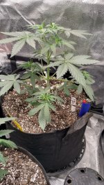 IMG_20231228_140449_HDR[1].jpg