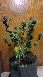 IMG_20231229_132145_HDR[1].jpg