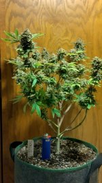 IMG_20231229_130534_HDR[1].jpg