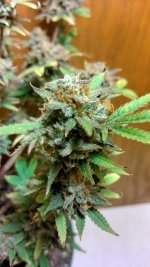 IMG_20231229_130327_HDR[1].jpg