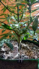 IMG_20240108_123703_HDR[1].jpg