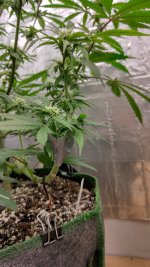 IMG_20240112_184949_HDR[1].jpg