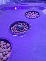20240113_073357.jpg