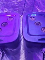 20240113_073349.jpg