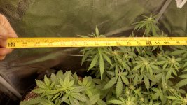 RVC2[1].jpg