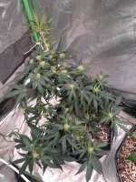 20240120_002756.jpg