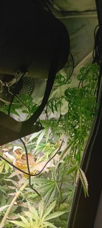 20230719_135245.jpg
