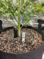 IMG_20240212_182249_HDR[1].jpg