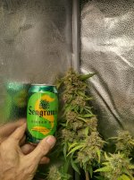 IMG_20240212_182026_HDR[1].jpg