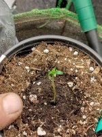 IMG_20240301_152349_HDR[1].jpg