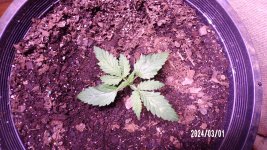 100_0300.jpg