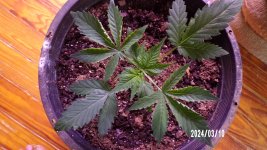 100_0304.jpg