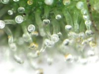S20240312_0004.jpg