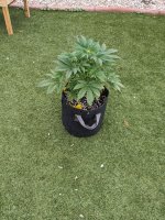 PXL_20240323_170227116.jpg