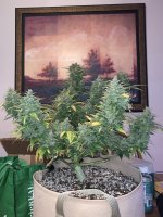 IMG_0469.jpg