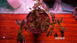 100_0315.jpg