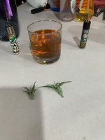 IMG_0486.jpg