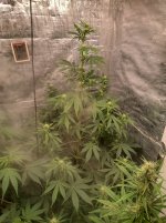 IMG_20240411_200846_HDR[1].jpg