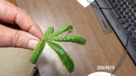 100_0322.jpg