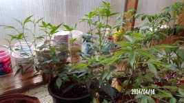 100_0326.jpg