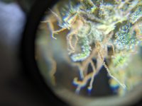 PXL_20240423_072813819.jpg