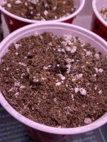 photo171908.jpg