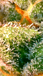 2024_05_22_04_30_45_350.png