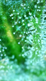 2024_05_25_04_43_17_308.png