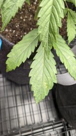 photo172919.jpg