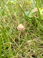 IMG_20240526_132837_HDR[1].jpg